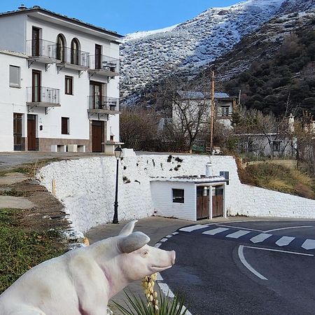 Alojamiento Rural Casa Clara La Pescaora Trevelez Exterior photo